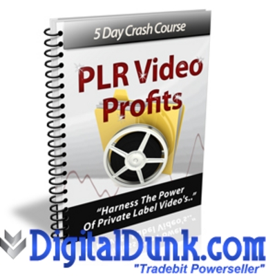 Product picture PLR Video Profits 