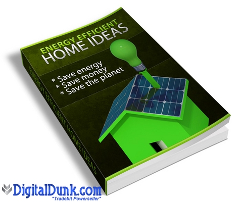 Product picture Energy Efficient Home Ideas (PLR)